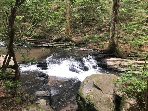 are dogs allowed at south cumberland state park