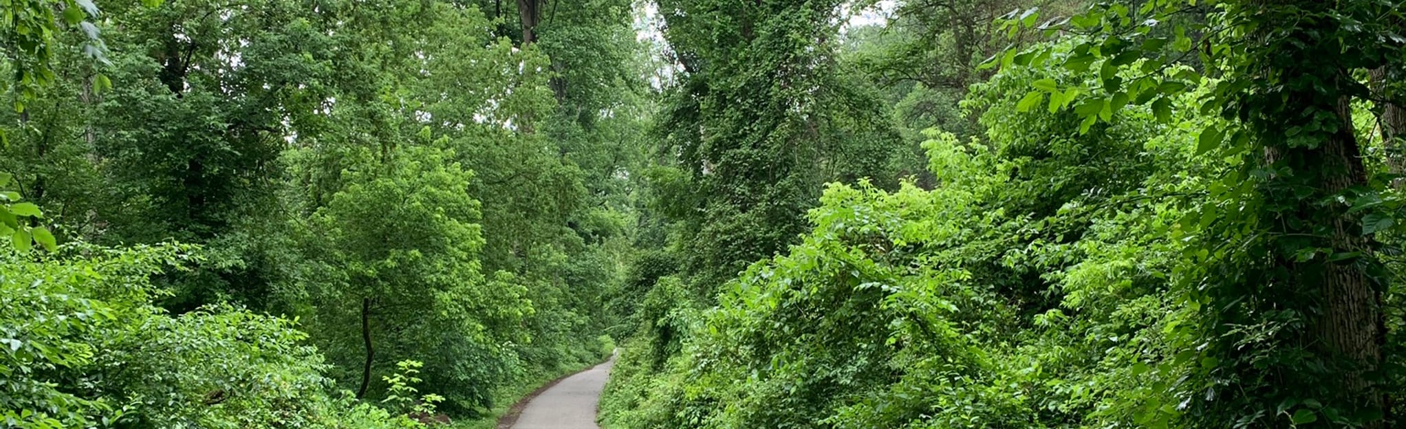 Soapstone Trail to Vineyard Trail Loop, Maryland 567 Reviews, Map