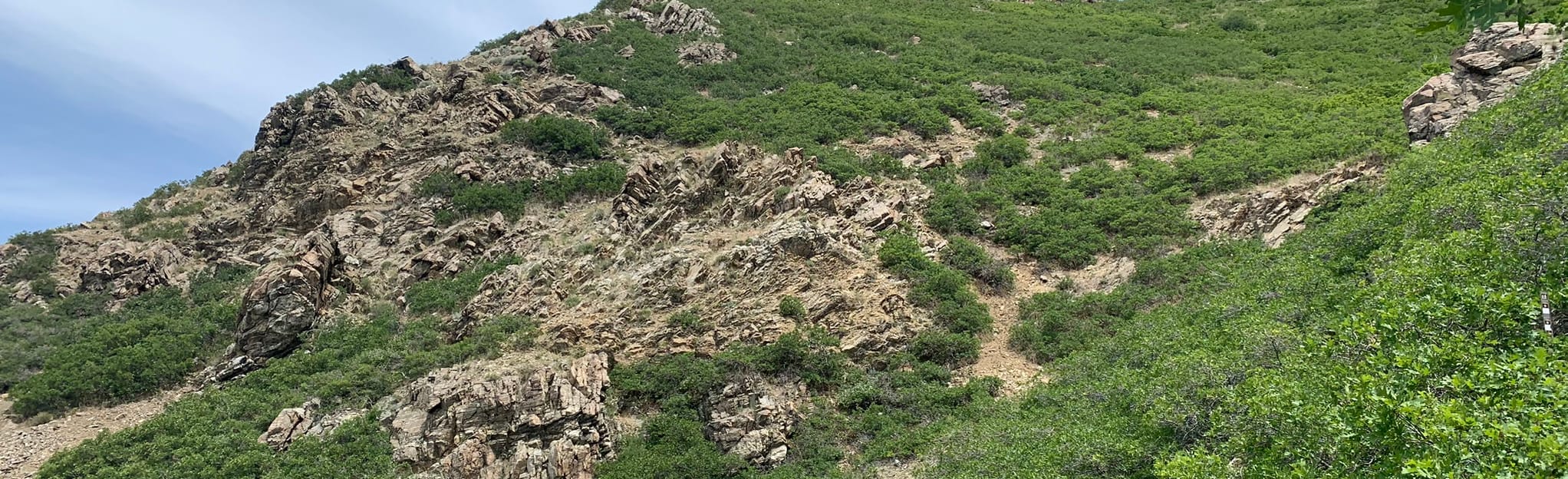 Patsy's Mine Trail - Utah | AllTrails