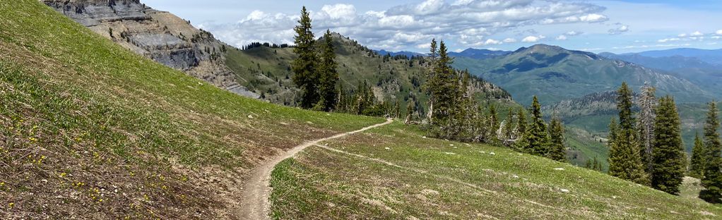Mount Timpanogos Trail From Aspen Grove Utah Alltrails