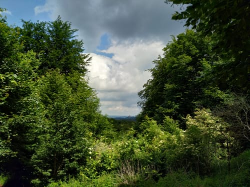 Rennsteig Etappe 1: Hörschel - Ruhla