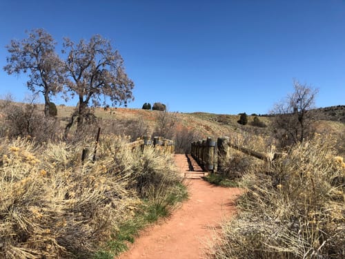 running trails near me that allow dogs