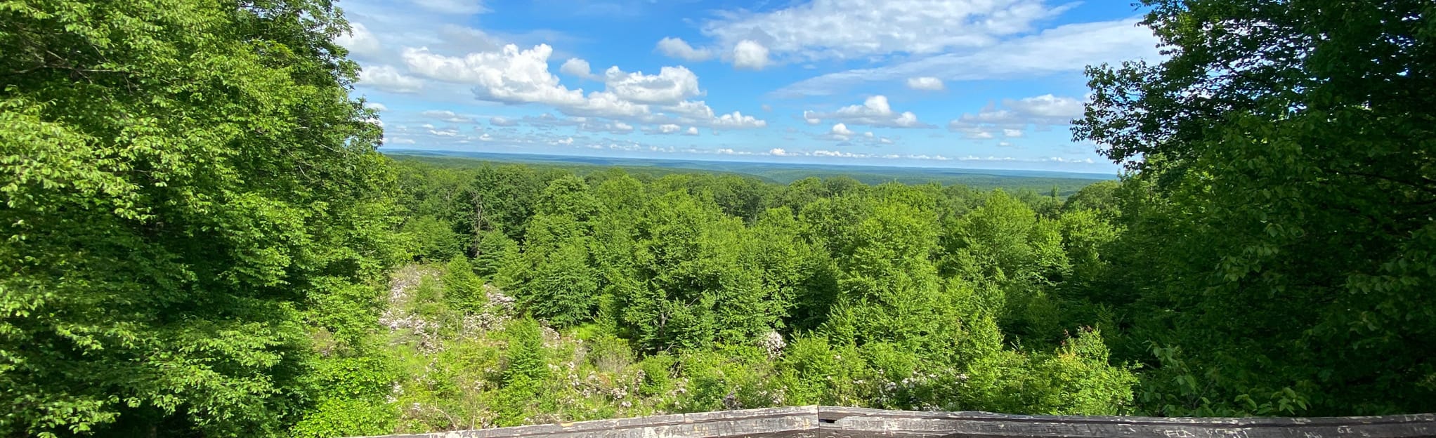 Beartown Rocks Trail, Pennsylvania - 178 Reviews, Map | AllTrails