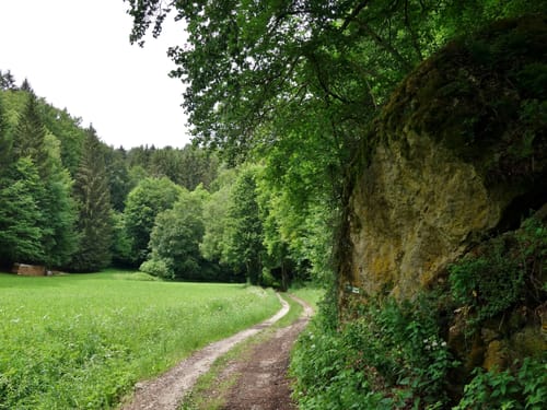 Heinrich-Scheuermann-Weg