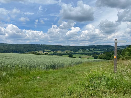 Stolzenberger Ritterblick (Premiumwanderweg)