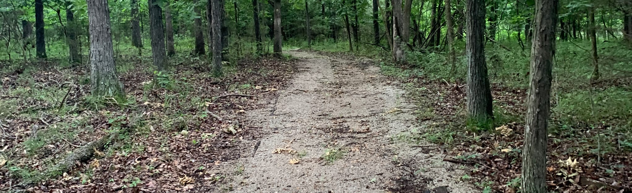 Bucksaw Campground Trail, Missouri 20 Reviews, Map AllTrails