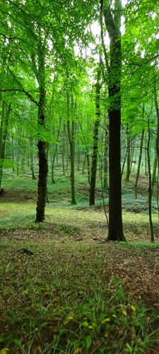 Von Lübbecke auf den Heidekopf