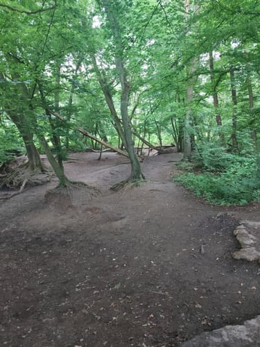 Durch die Kirchhellener Heide zum Heidesee