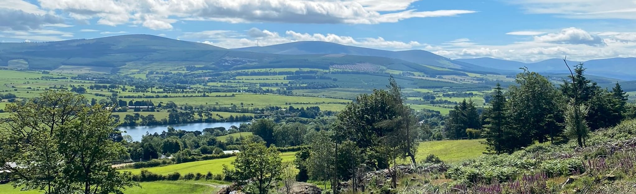 Saggart Hill Loop, 174 Fotos County Dublin, Irland AllTrails