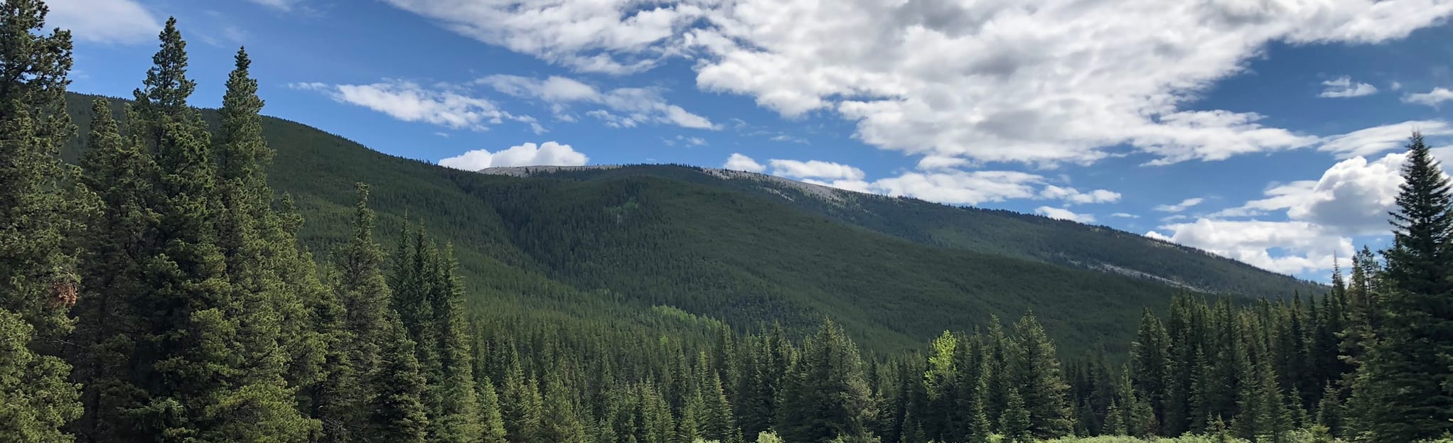 Prairie Link Trail Via Powderface Creek Trail, Alberta, Canada 69