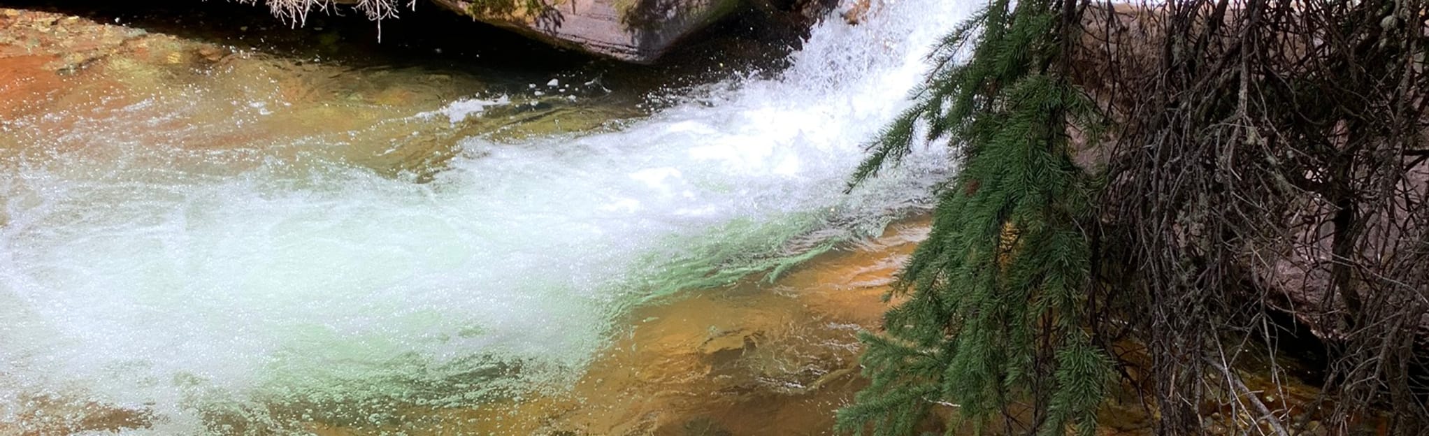 Lime Creek Trail, Colorado 260 Reviews, Map AllTrails