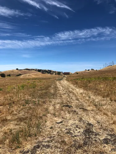 Best Hikes and Trails in Pinole Valley Watershed | AllTrails
