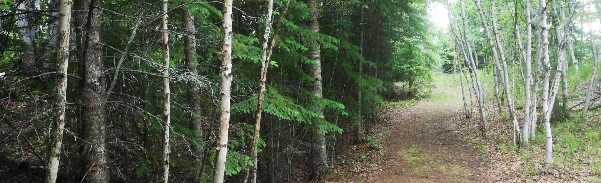 Nipawin Regional Park Loop 7 Reviews, Map Saskatchewan, Canada