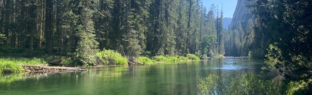 are dogs allowed in little yosemite