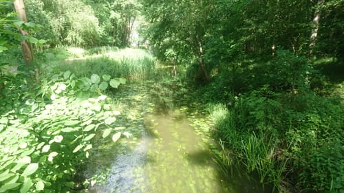Goldberger See und Langsee Rundweg