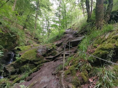 Baybachklamm (Traumschleife)