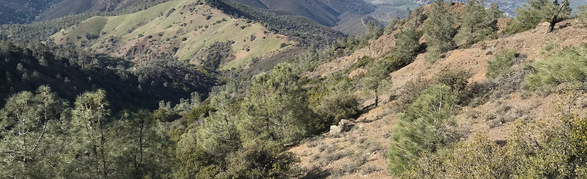 Mount Diablo and North Peak Trail (Double Summit) California AllTrails