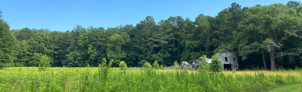 Wilburn Farm and Cascade Trails Loop, Georgia - 516 Reviews, Map