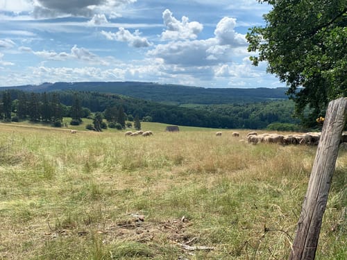 Glashütten und Schloßborn