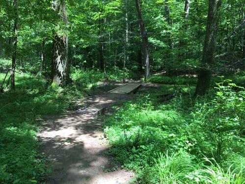 Best mountain biking trails in Bacon Ridge Natural Area AllTrails