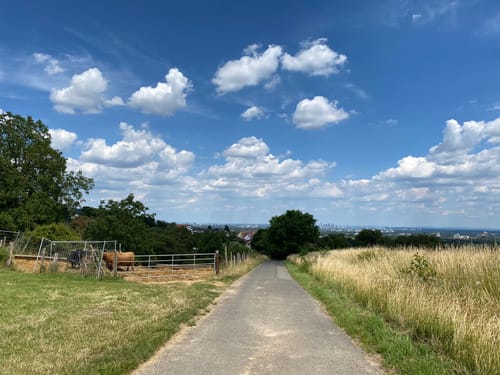 Meise-Rundweg