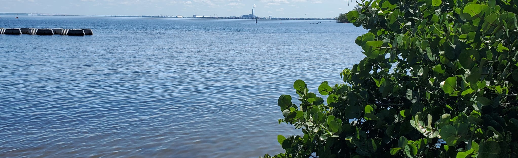 EG Simmons Park and Pelican Cove Area Trails 47 Reviews, Map Florida