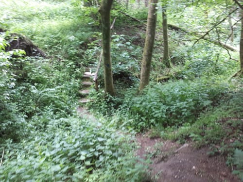 Lindenhardttour (Extratour)