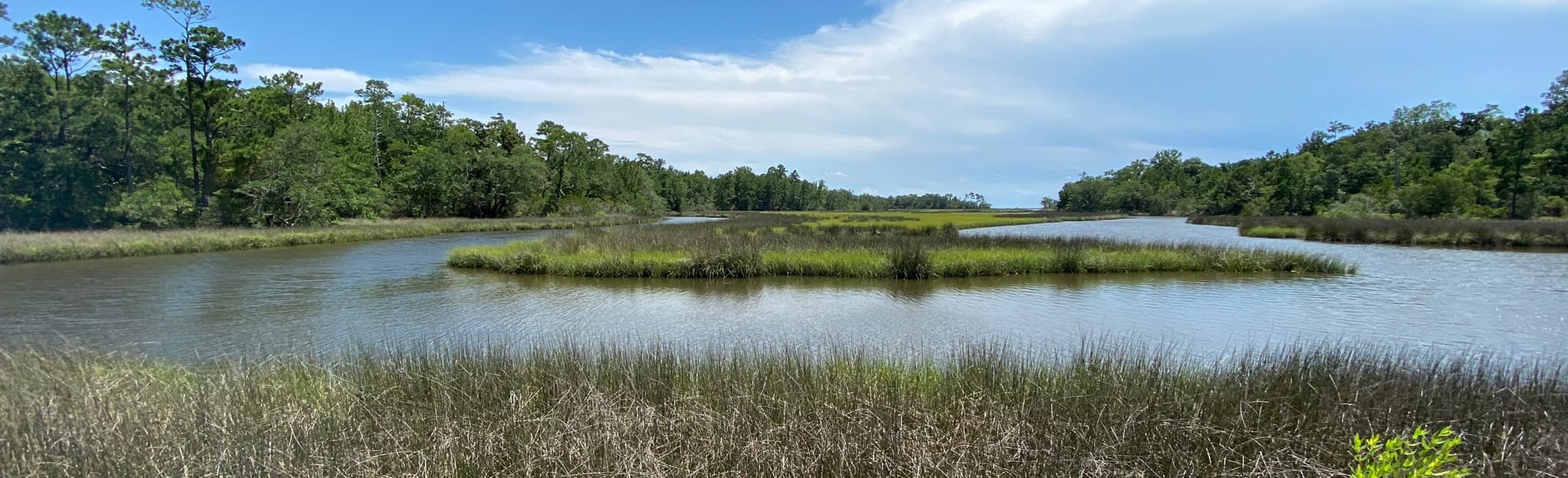 Gulf Islands Seashore: Davis Bayou Area, Mississippi - 267 Reviews, Map ...