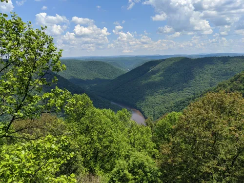 10 Best Trails and Hikes in Morgantown | AllTrails