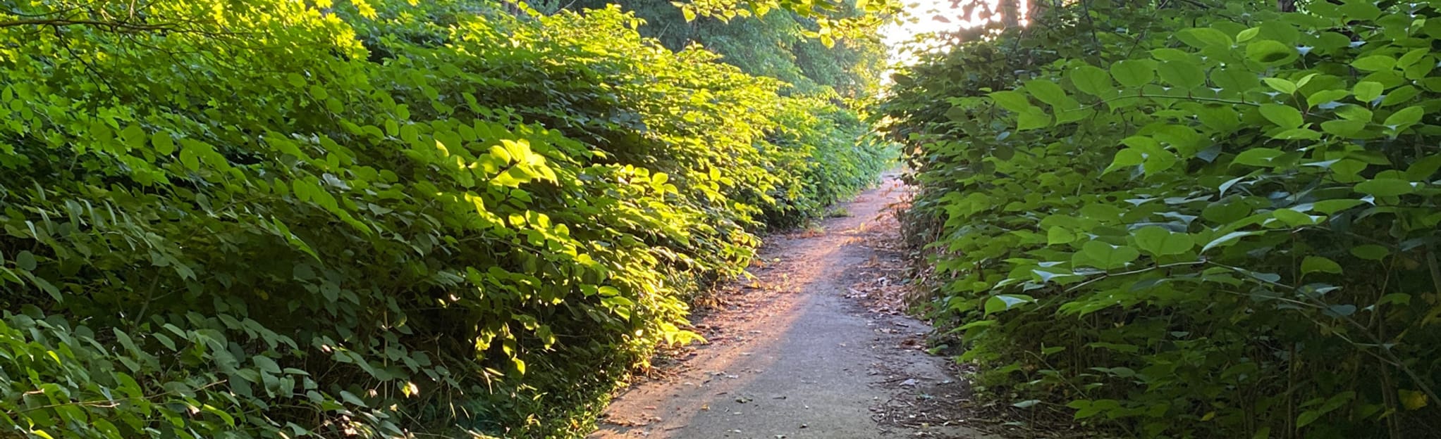 Goosepond Mountain 165 Reviews, Map New York AllTrails