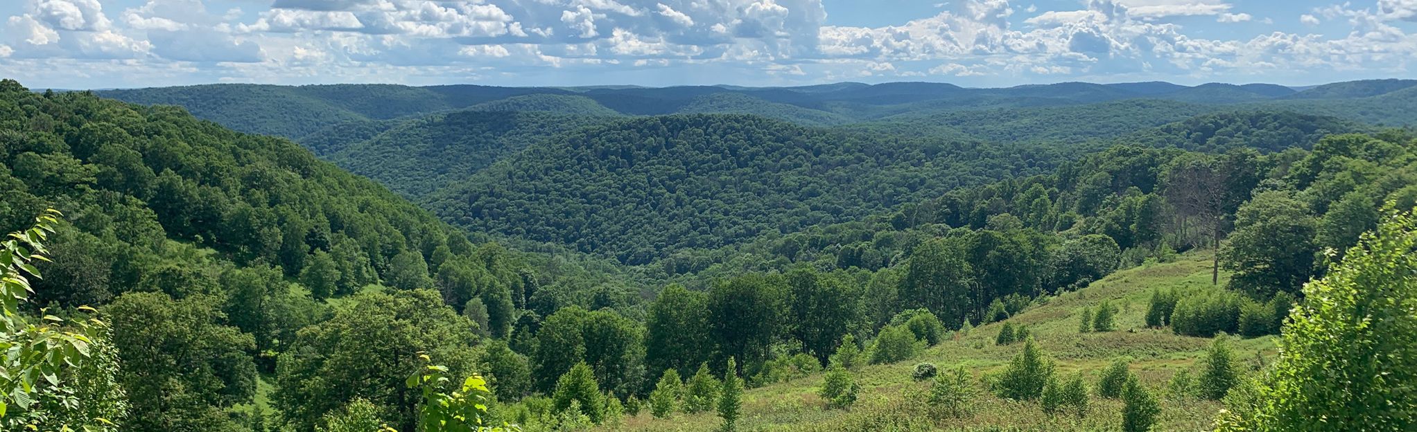 Twin Sisters Trail Pennsylvania AllTrails