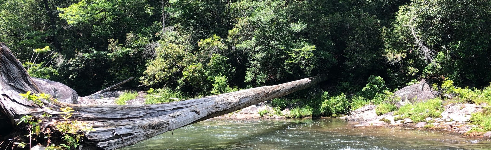 Big Bend Falls via Big Bend Trail - EyJidWNrZXQiOiJhc3NldHMuYWxsdHJhaWxzLmNvbSIsImtleSI6InVwbG9hZHMvcGhvdG8vaW1hZ2UvMjcyMTM4MDgvZTgwNTRkZTI0MmU0YzgwMWY0ZTNjOTYzZDhlMTI4YTAuanBnIiwiZWRpdHMiOnsidG9Gb3JtYXQiOiJqcGVnIiwicmVzaXplIjp7IndpZHRoIjoyMDQ0LCJoZWlnaHQiOjYyNCwiZml0IjoiY292ZXIifSwicm90YXRlIjpudWxsLCJqcGVnIjp7InRyZWxsaXNRdWFudGlzYXRpb24iOnRydWUsIm92ZXJzaG9vdERlcmluZ2luZyI6dHJ1ZSwib3B0aW1pc2VTY2FucyI6dHJ1ZSwicXVhbnRpc2F0aW9uVGFibGUiOjN9fX0=