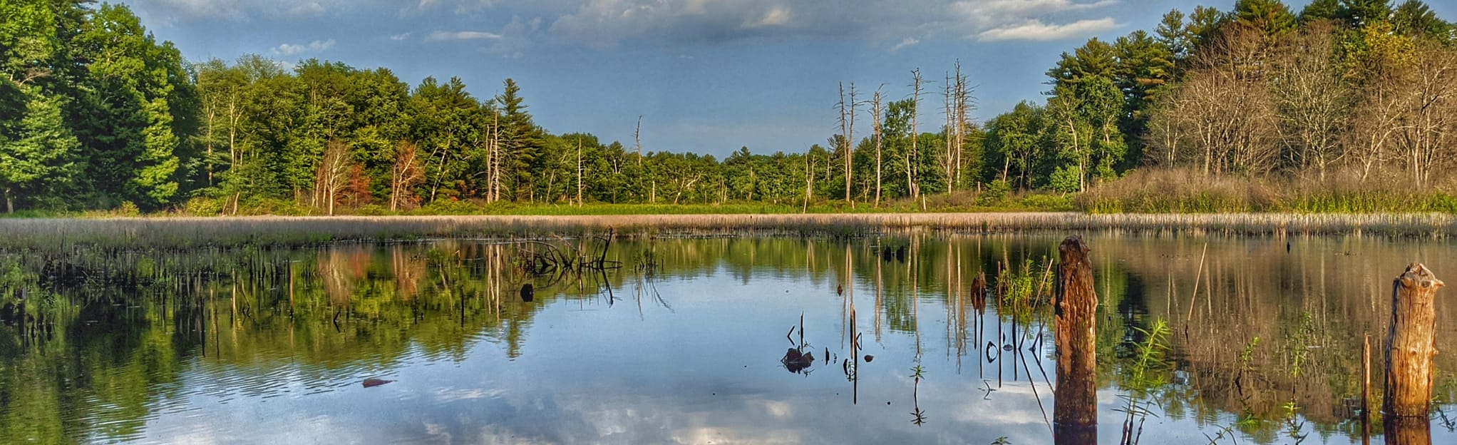 Nashua River Rail Trail (from Ayer to Nashua): 599 foto - Massachusetts ...