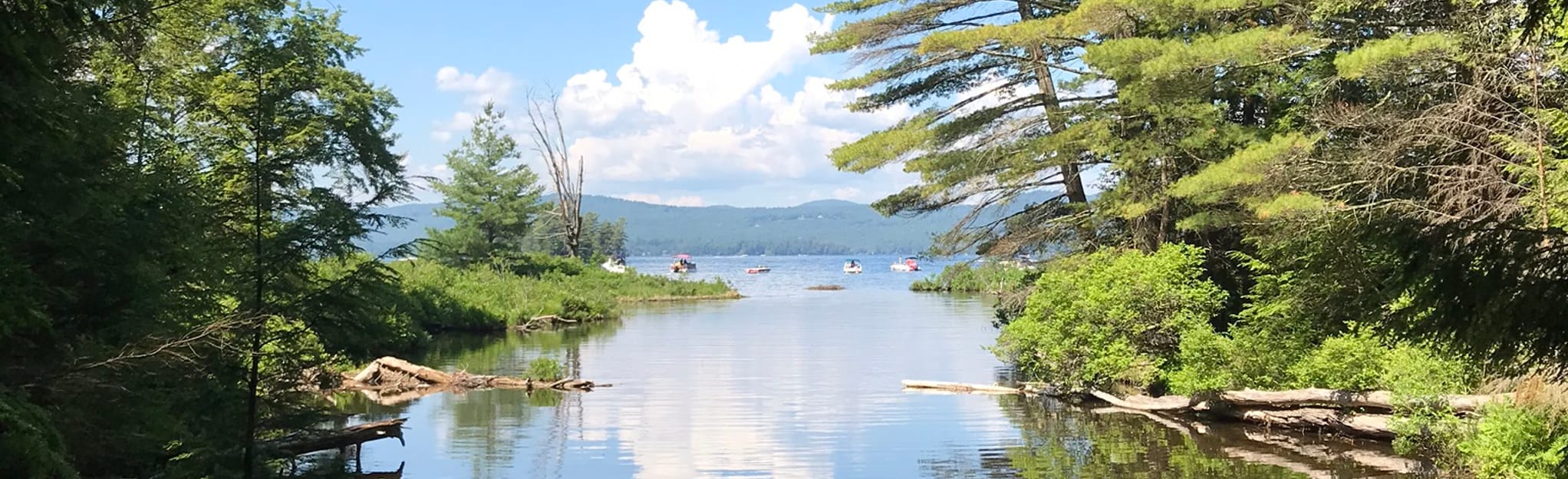 Shelving Rock Mountain and Shelving Rock Falls Trail 520 Reviews, Map