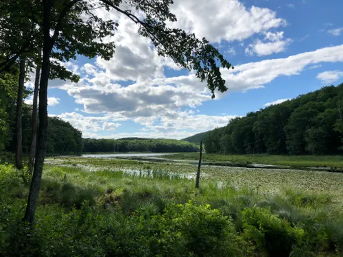 Escape to Serenity: A Guide to Bennett's Pond State Park