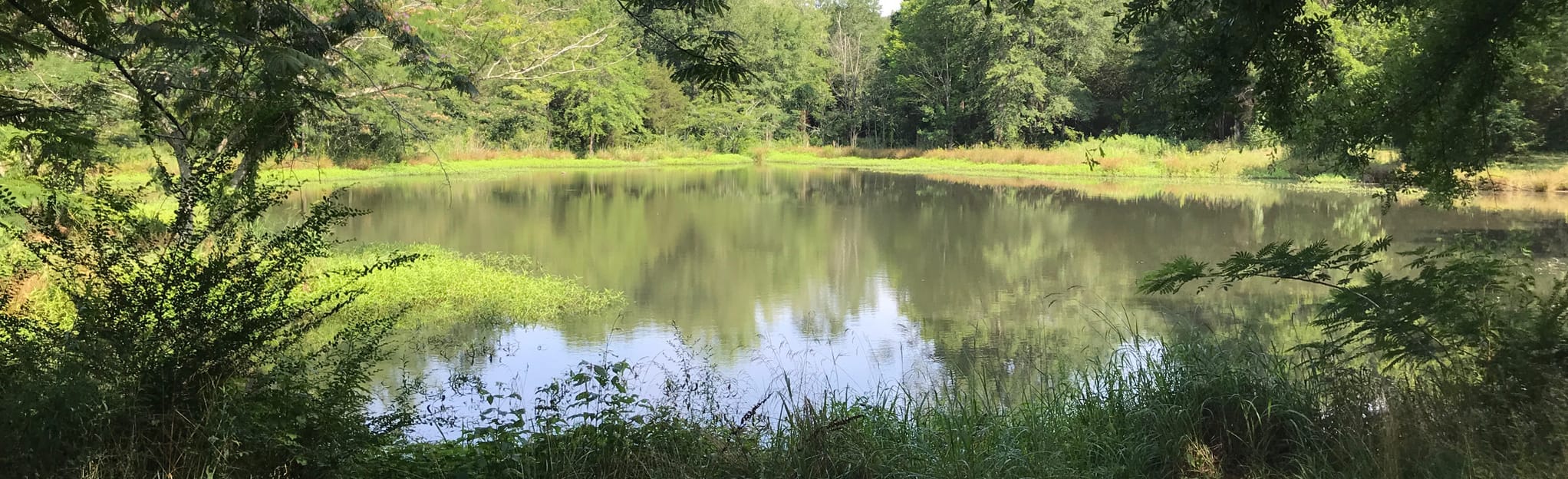 Stephens Park Loop, Alabama 3 Reviews, Map AllTrails