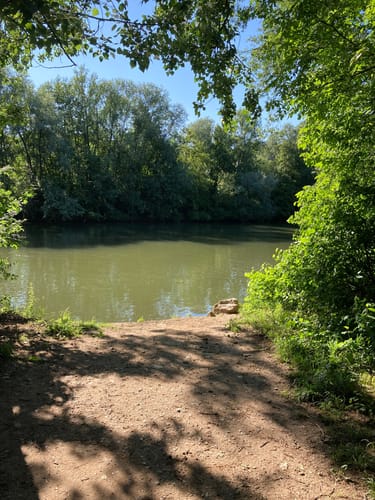 Am wilden Neckar