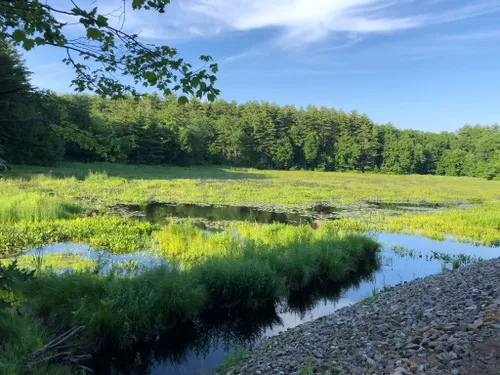 10 Best Paved Trails in New Hampshire | AllTrails