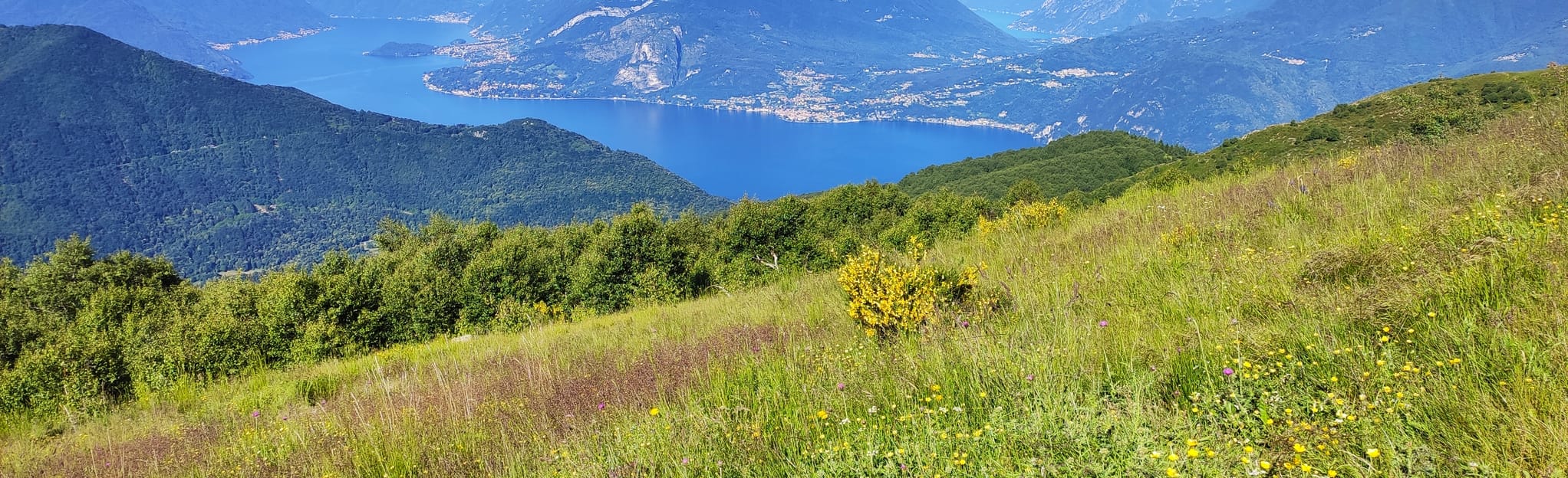 Monte MuggioSchleife 71 Fotos Lombardei, Italien AllTrails