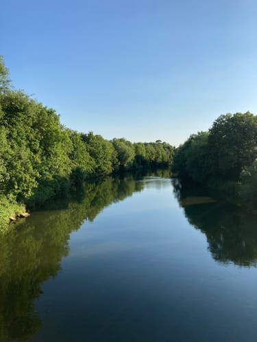 Sieben Brücken am Neckar