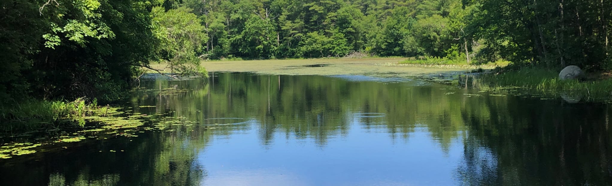 Pratt Farm Outer Loop Map, Guide Massachusetts AllTrails