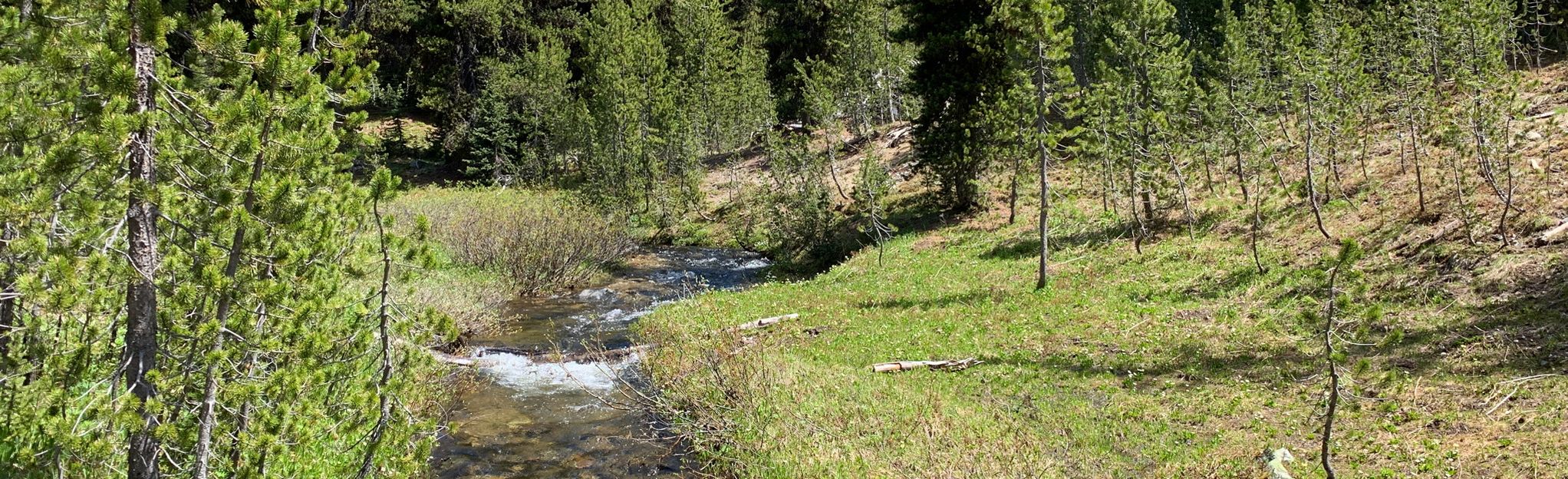 Rapids On The Wenatchee River Okanogan Wenatchee National Flickr