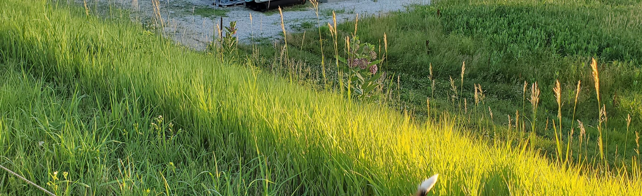 Nodaway Valley Loop, 10 Fotos Missouri AllTrails