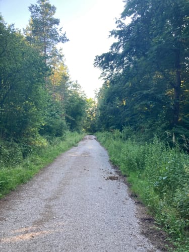 Bonlanden und Bombach Rundweg