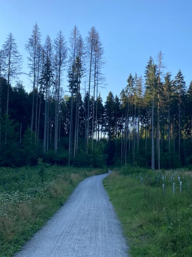 Bonlanden und Bombach Rundweg