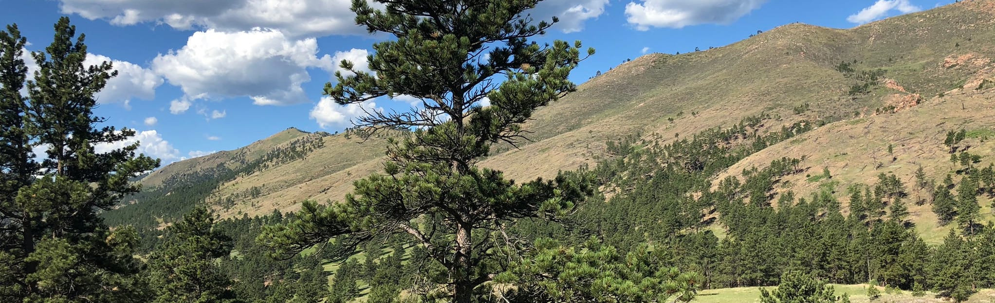 Grindstone Quarry Trail, Colorado 90 Reviews, Map AllTrails