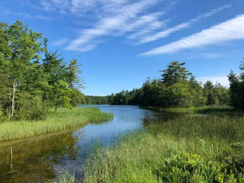 10 Best Hikes and Trails in Ludington State Park | AllTrails