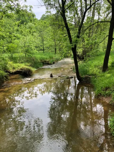 Best Hikes and Trails in BeeTree Preserve | AllTrails