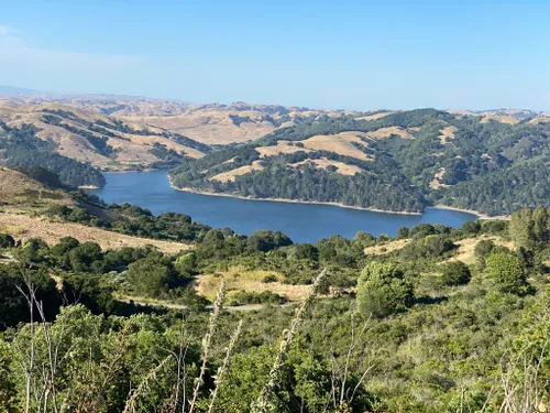 2023 Best Wild Flowers Trails in San Pablo | AllTrails