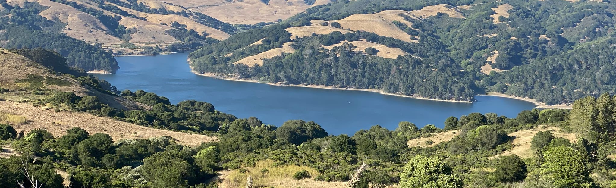 Alvarado Park, Tilden Park and Wildcat Canyon Regional Park 168